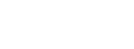 proton-impex-2000-logo-alb