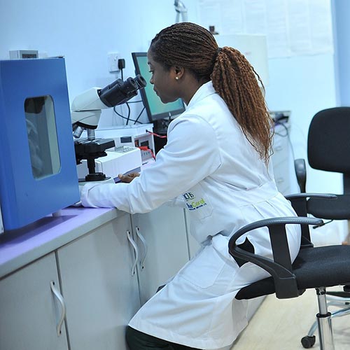 IVD (In Vitro Diagnostics)